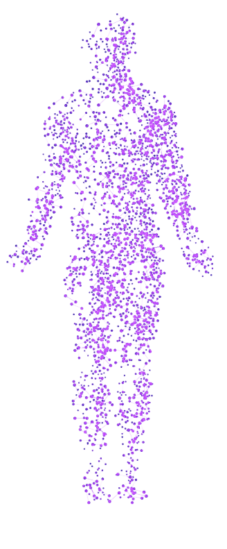Human Body